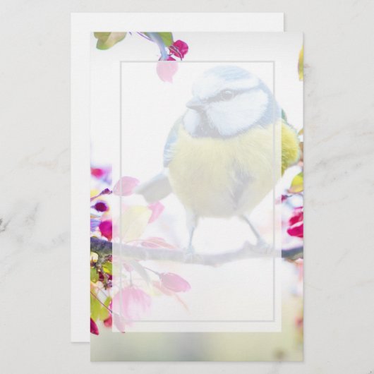 枝かわいらし写真に青と黄色の鳥 (正面/裏面)