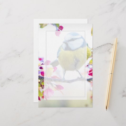 枝かわいらし写真に青と黄色の鳥 (正面/裏面インサイチュ)