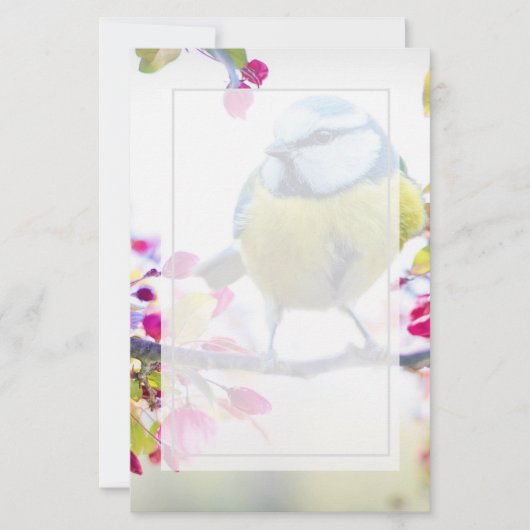 枝かわいらし写真に青と黄色の鳥 (正面)