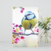 枝かわいらし写真に青と黄色の鳥 (スタンド正面)