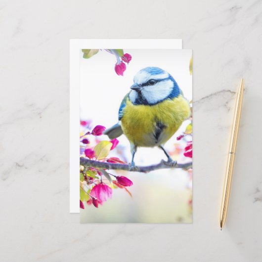 枝かわいらし写真に青と黄色の鳥 (正面/裏面インサイチュ)