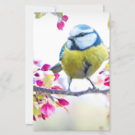 枝かわいらし写真に青と黄色の鳥