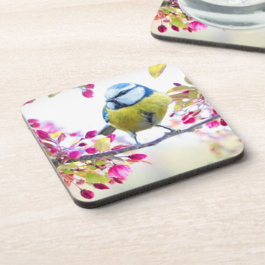 枝かわいらし写真に青と黄色の鳥 コースター (左側)