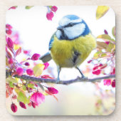 枝かわいらし写真に青と黄色の鳥 コースター (正面)