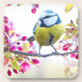 枝かわいらし写真に青と黄色の鳥 コースター