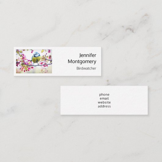 枝かわいらし写真に青と黄色の鳥 スキニー名刺 (正面/裏面)