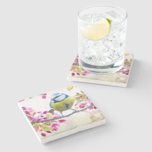 枝かわいらし写真に青と黄色の鳥 ストーンコースター (横)