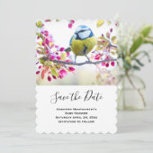 枝かわいらし写真に青と黄色の鳥 セーブザデート (スタンド正面)