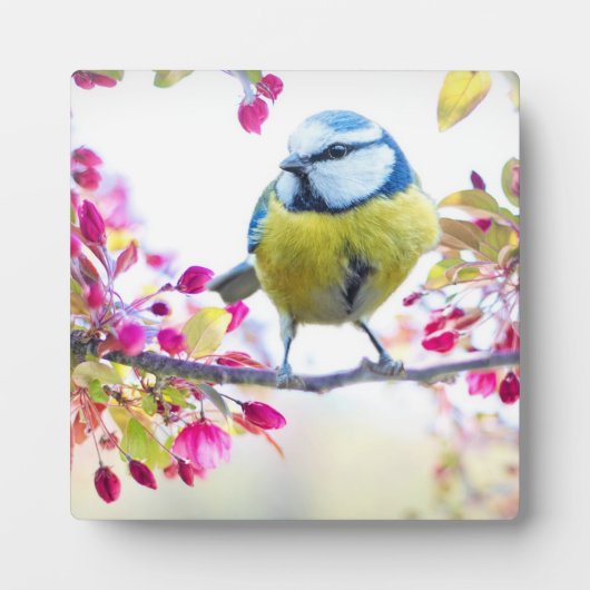 枝かわいらし写真に青と黄色の鳥 フォトプラーク (正面)