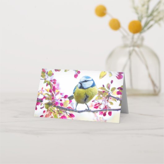 枝かわいらし写真に青と黄色の鳥 プレイスカード (正面)