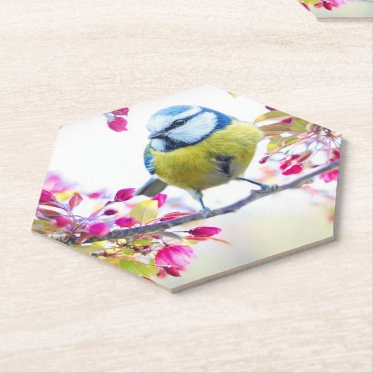 枝かわいらし写真に青と黄色の鳥 ペーパーコースター (アングル)