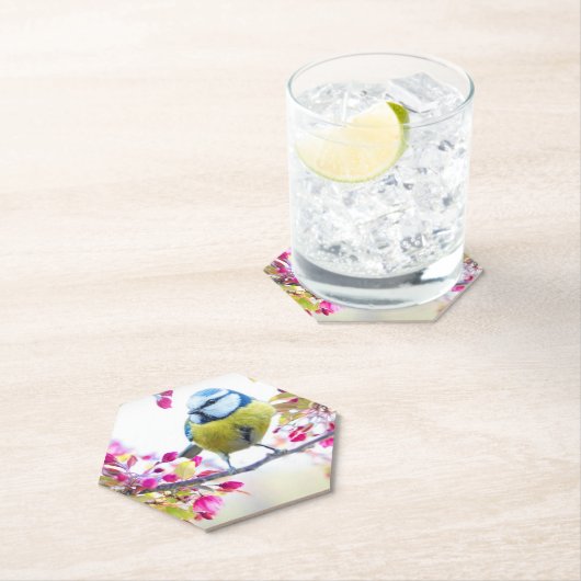 枝かわいらし写真に青と黄色の鳥 ペーパーコースター (インサイチュ)