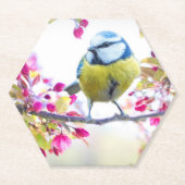 枝かわいらし写真に青と黄色の鳥 ペーパーコースター (正面)