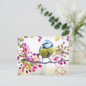 枝かわいらし写真に青と黄色の鳥 ポストカード (スタンド正面)