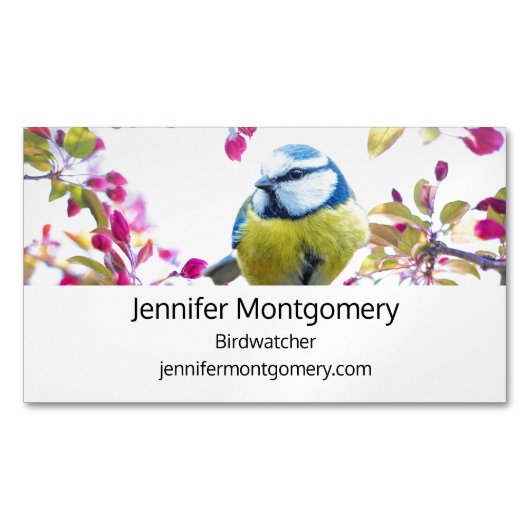 枝かわいらし写真に青と黄色の鳥 マグネット名刺 (正面)