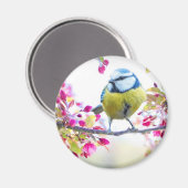 枝かわいらし写真に青と黄色の鳥 マグネット (正面/裏面)