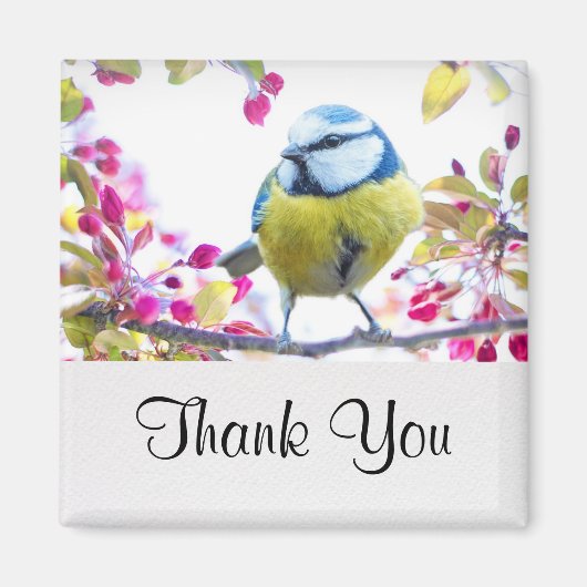 枝かわいらし写真に青と黄色の鳥 マグネット (正面)