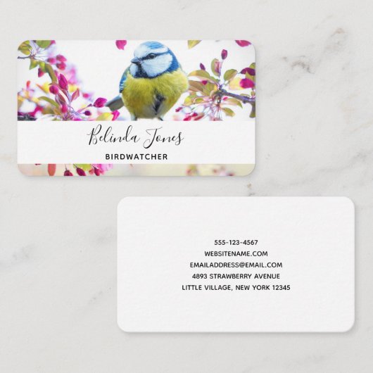 枝かわいらし写真に青と黄色の鳥 名刺 (正面/裏面)