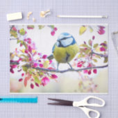 枝かわいらし写真に青と黄色の鳥 薄葉紙 (クラフト)