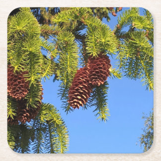 枝が付いている自然の森林写真のコースター スクエアペーパーコースター