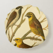 枝でとまる3羽の国内鳥 ラウンドクッション (裏面)