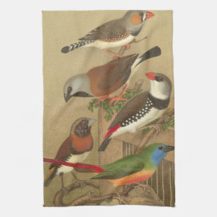 枝でとまる5羽のカラフルなペット鳥 キッチンタオル