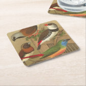 枝でとまる5羽のカラフルなペット鳥 スクエアペーパーコースター (アングル)