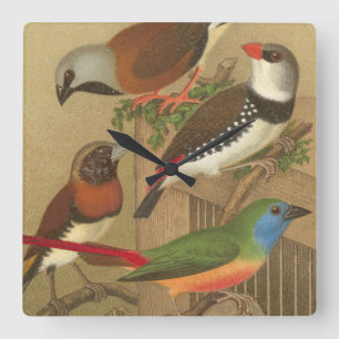 枝でとまる5羽のカラフルなペット鳥 スクエア壁時計