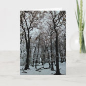 枝と木 カード (正面)