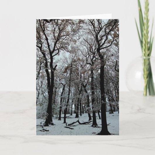 枝と木 カード (正面)