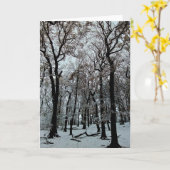 枝と木 カード (黄色い花)