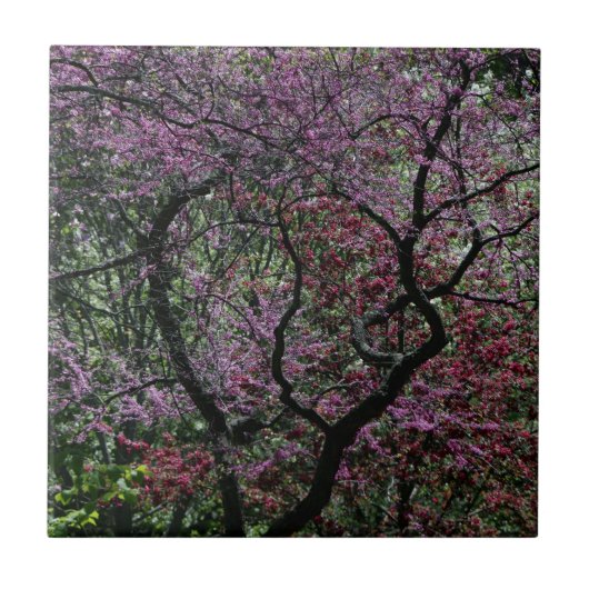 枝と花 タイル (正面)