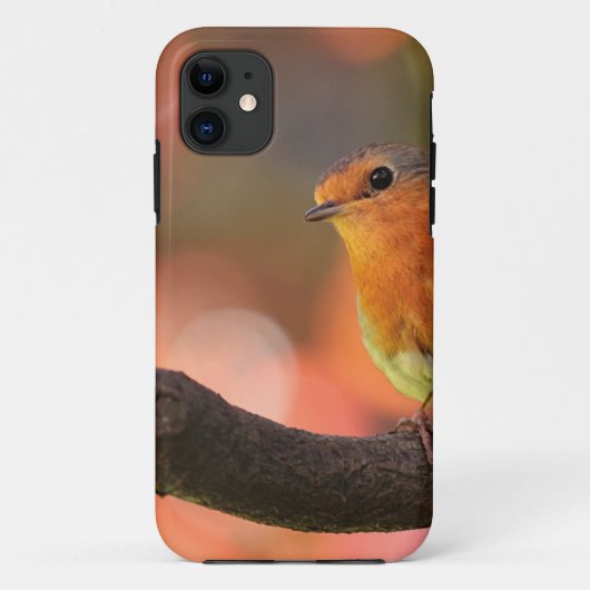 枝にいるコマドリ Case-Mate iPhoneケース (裏面)