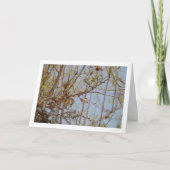 枝にのったアーモンド カード (正面)