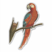 枝にオウムをかける シール (正面)