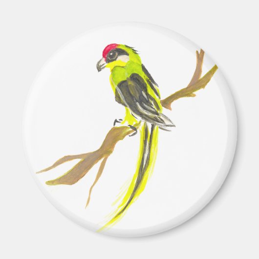 枝にオウムをかける。水の色絵画の。 マグネット (正面)