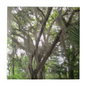 枝にコケスペインのを振るオークの木 タイル (正面)