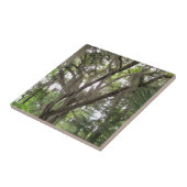 枝にコケスペインのを振るオークの木 タイル (側面)