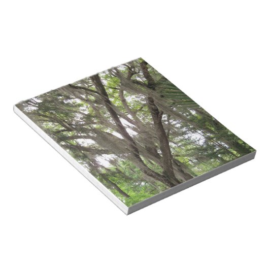 枝にコケスペインのを振るオークの木 ノートパッド (アングル)