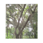 枝にコケスペインのを振るオークの木 ノートパッド (正面)