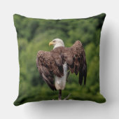 枝にハゲのワシ クッション (裏面)