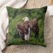 枝にハゲのワシ クッション (ブランケット)