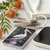 枝にペリカン,タスマニア – オーストラリア キーホルダー (正面右)