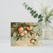 枝にリンゴ ポストカード (スタンド正面)