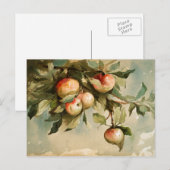 枝にリンゴ ポストカード (正面/裏面)