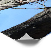 枝にワシ ポスター (角)