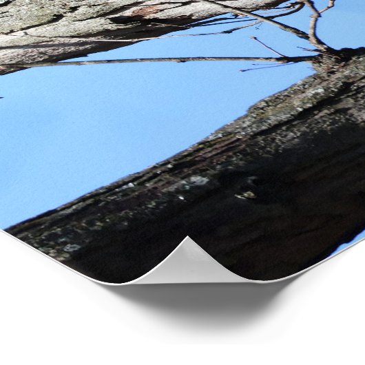 枝にワシ ポスター (角)