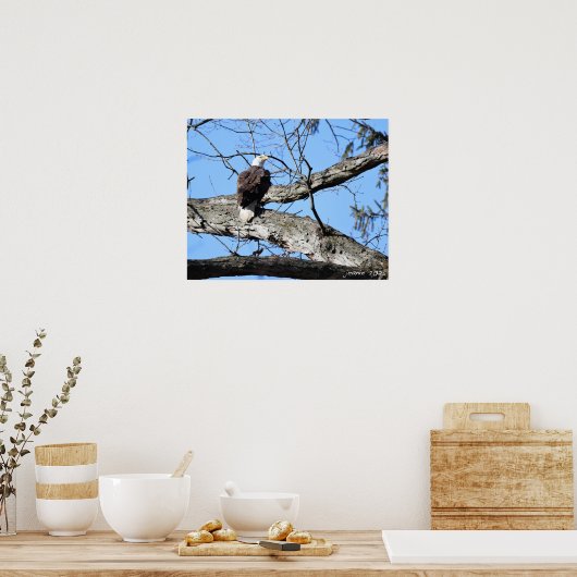 枝にワシ ポスター (キッチン)