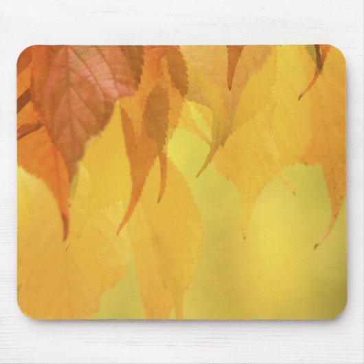 枝に付いた紅葉のクローズアップ マウスパッド (正面)