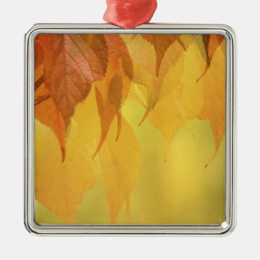 枝に付いた紅葉のクローズアップ メタルオーナメント (正面)